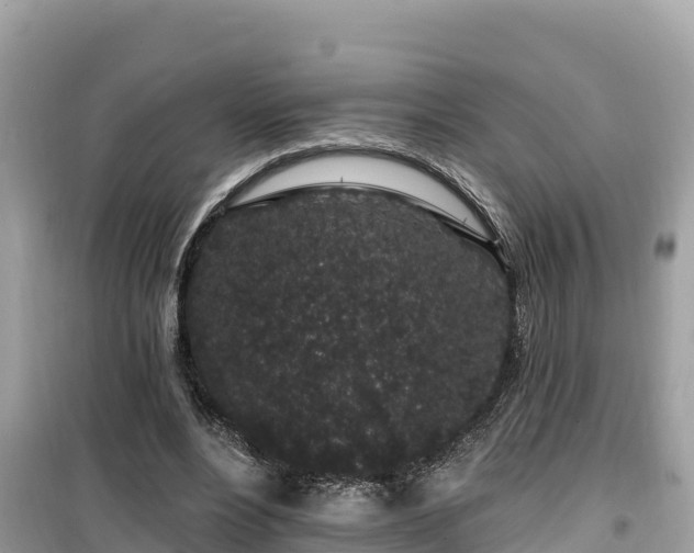 X0000099520488200805221447