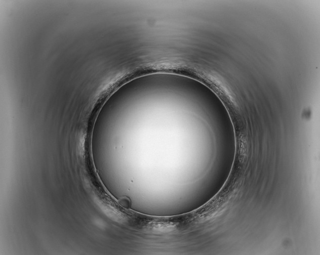 X0000099520491200805221447