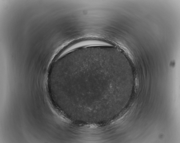 X0000099520492200805221447