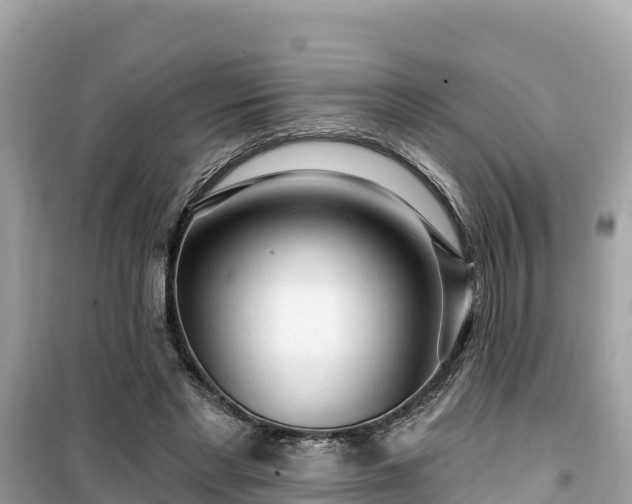 X0000099520493200805221447