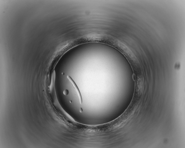 X0000099520494200805221447