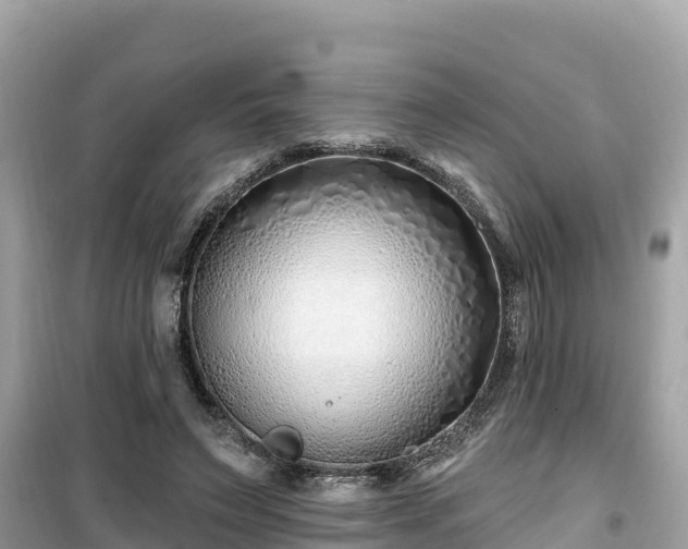 X0000099520495200805221447