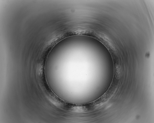 X0000099520499200805221446