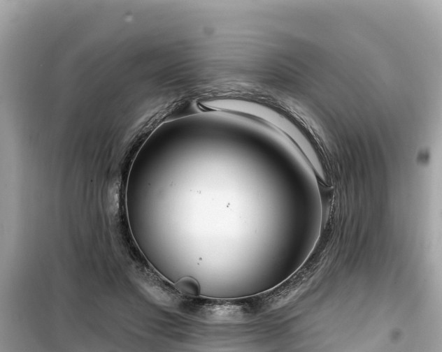 X0000099520501200805221446