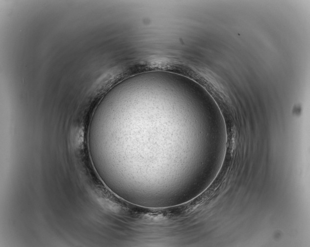 X0000099520502200805221446