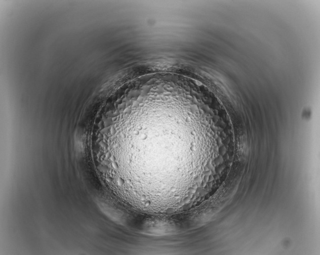 X0000099520503200805221446