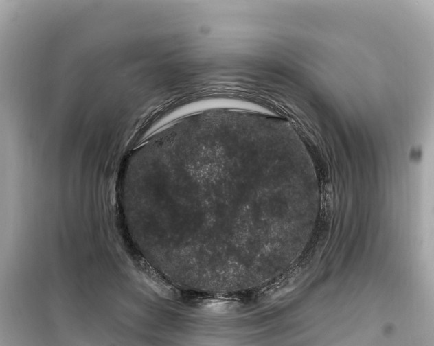 X0000099520504200805221446