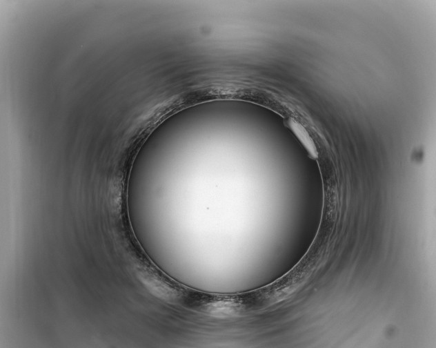X0000099520505200805221446