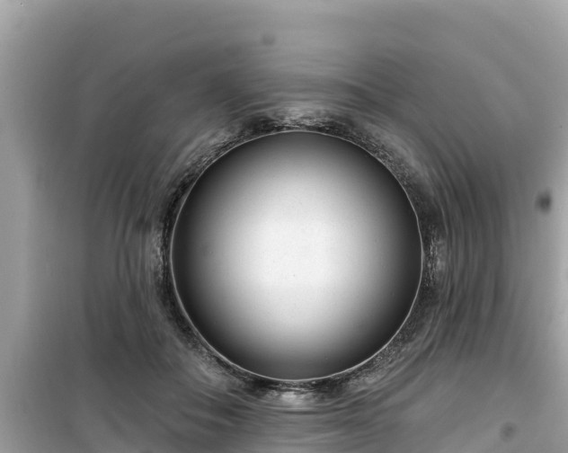 X0000099520506200805221446