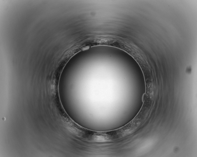 X0000099520510200805221446