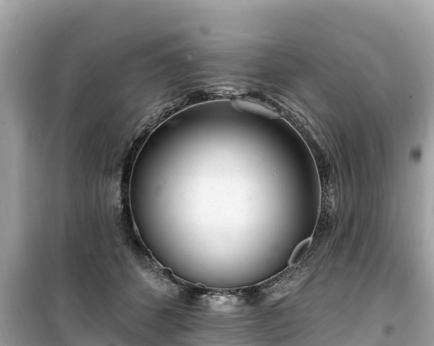 X0000099520512200805221446