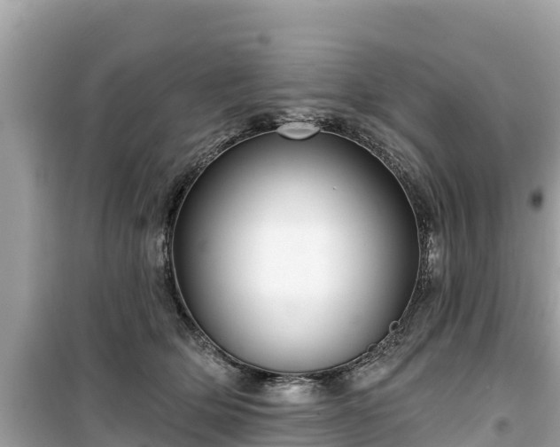 X0000099520514200805221446