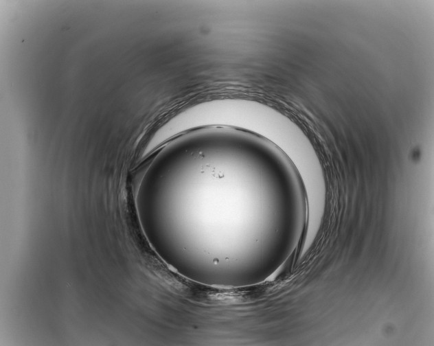 X0000099520516200805221446