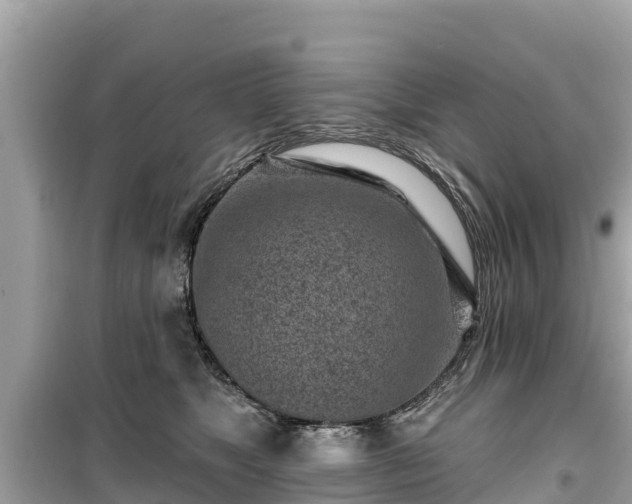 X0000099520517200805221446