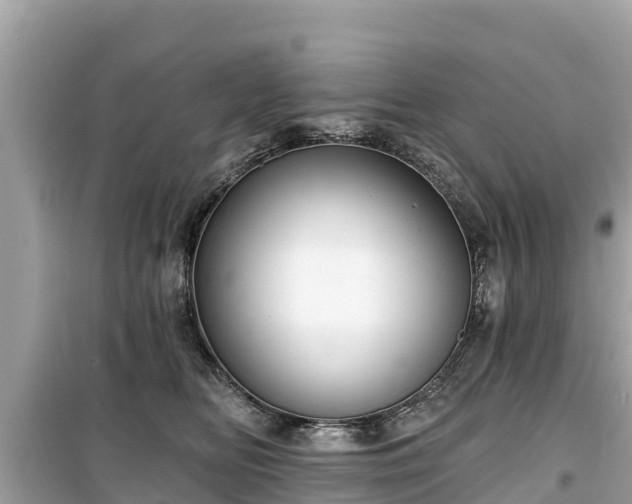 X0000099520518200805221446