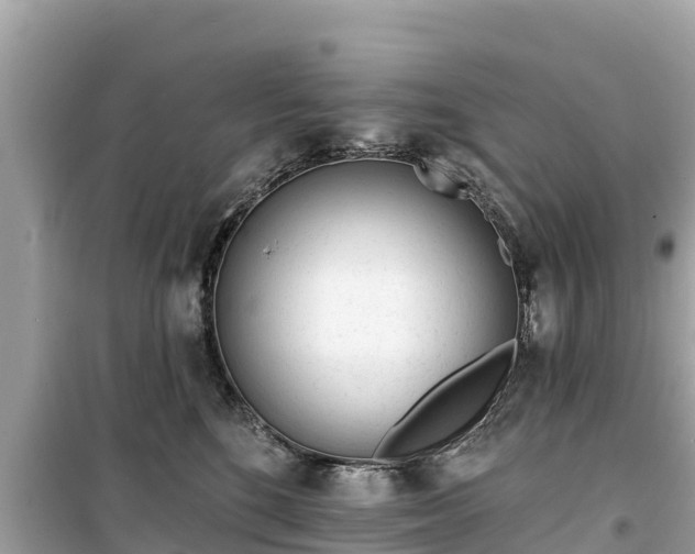 X0000099520520200805221446