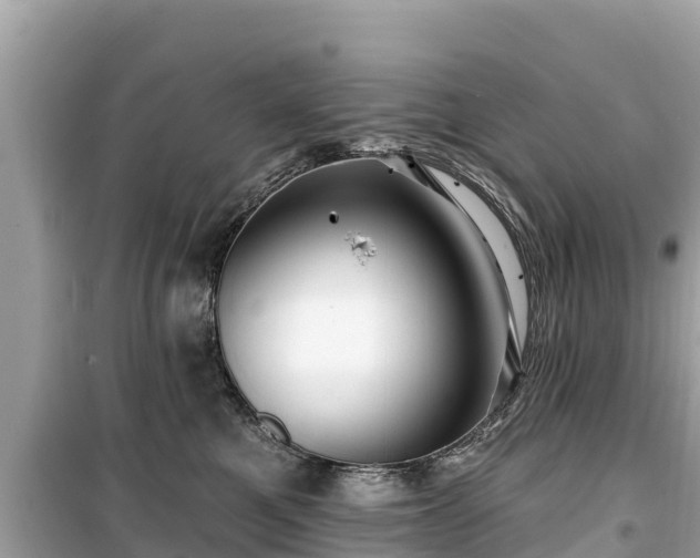 X0000099520521200805221446