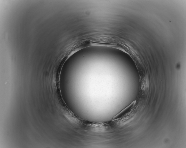 X0000099520524200805221446