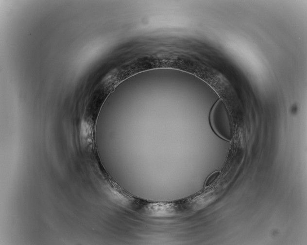 X0000099520526200805221446