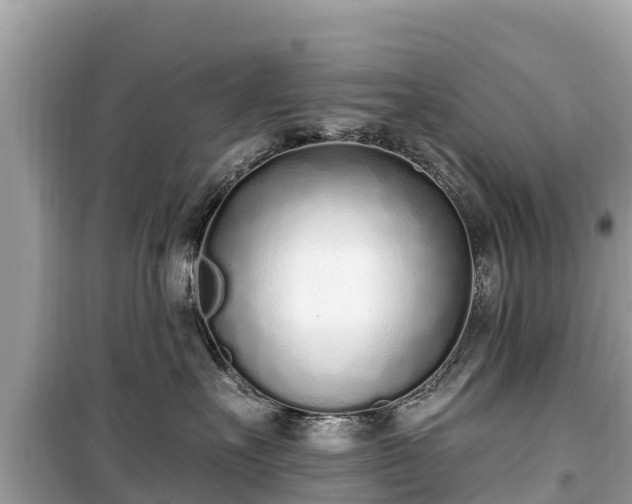 X0000099520527200805221446