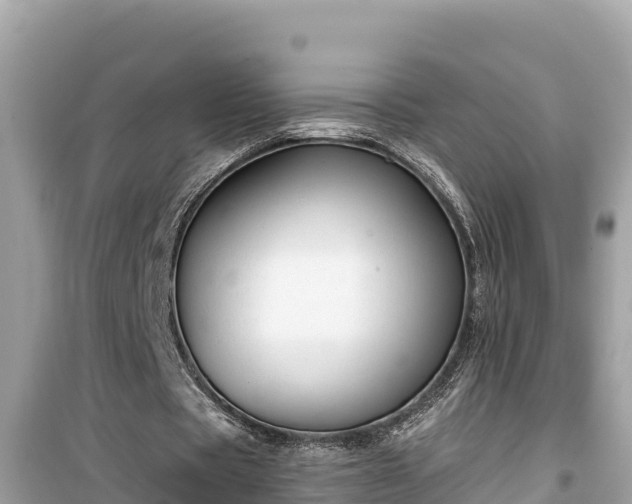 X0000099520529200805221446