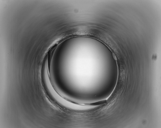 X0000099520530200805221446