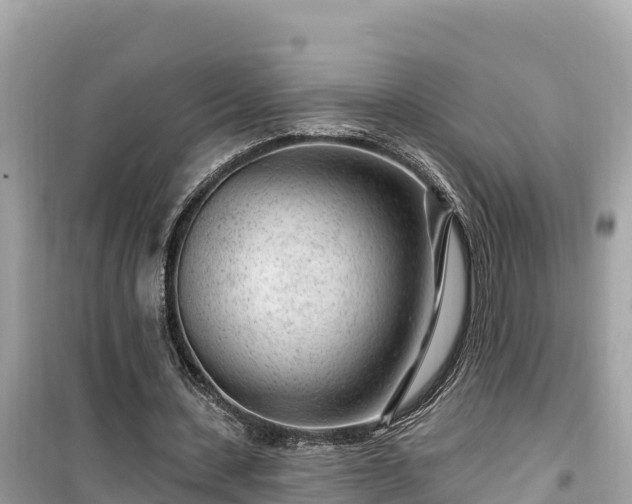 X0000099520531200805221446