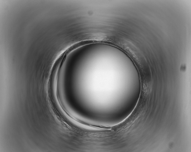 X0000099520532200805221446