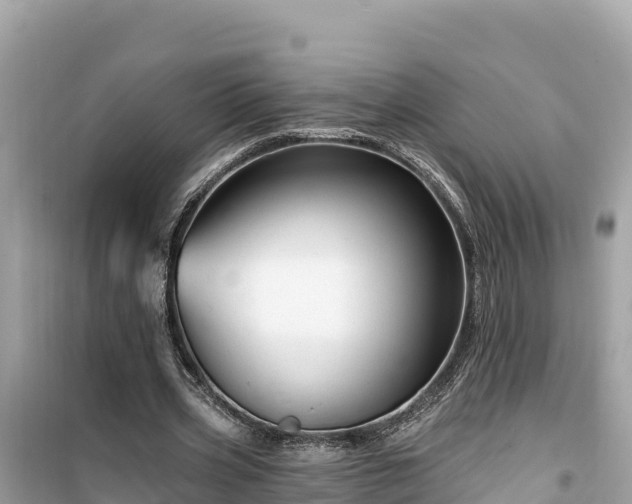 X0000099520533200805221446