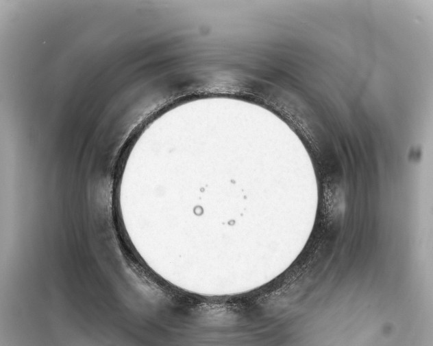 X0000099520534200805221446