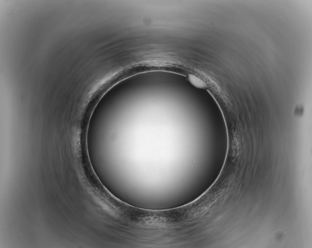 X0000099520535200805221446
