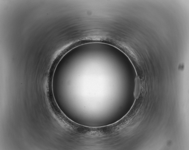 X0000099520536200805221446