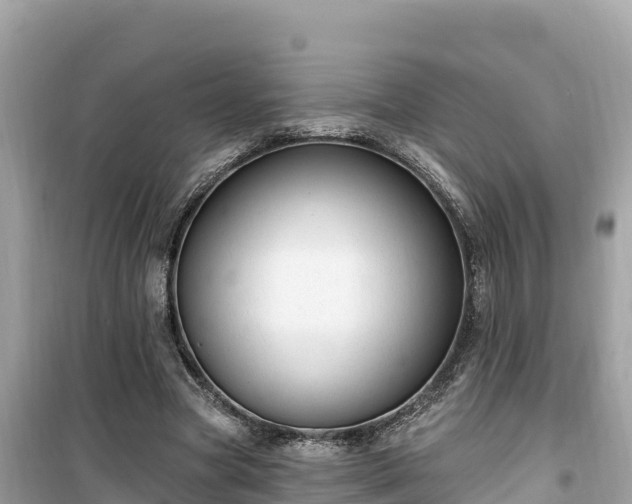 X0000099520537200805221446