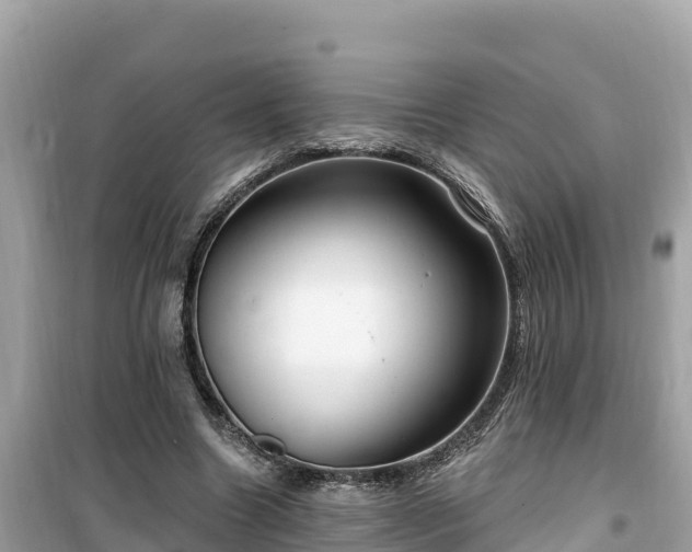X0000099520538200805221446