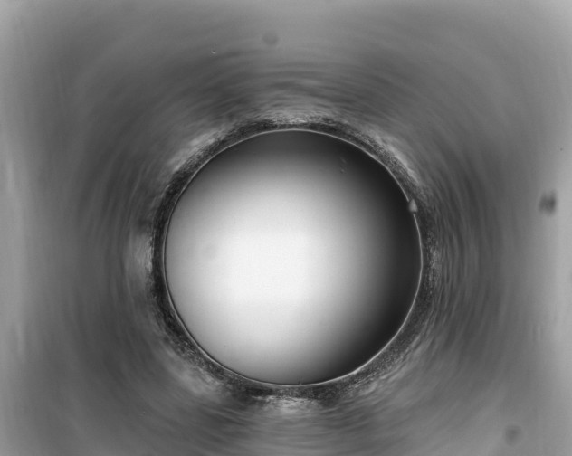 X0000099520539200805221446