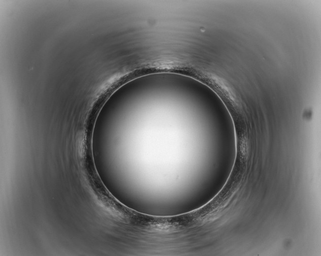 X0000099520540200805221446