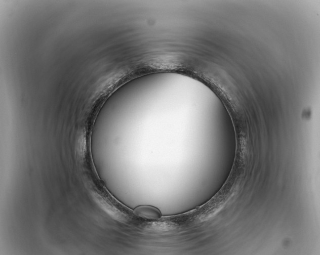 X0000099520541200805221446