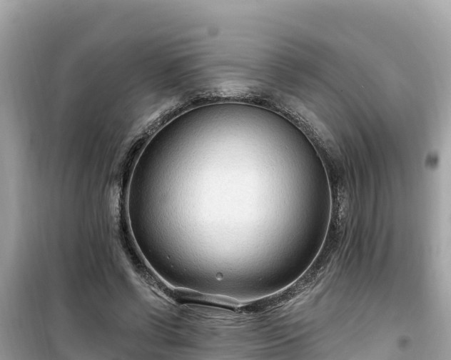 X0000099520542200805221446