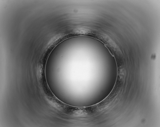 X0000099520544200805221446