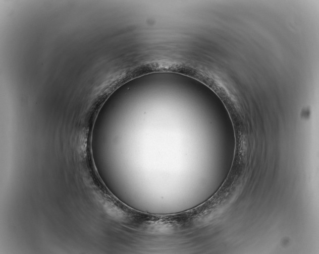 X0000099520545200805221446