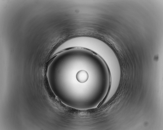 X0000099520546200805221446