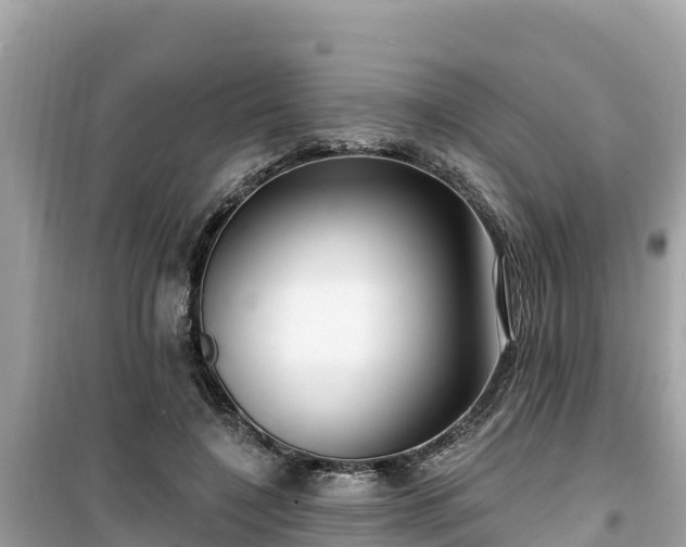 X0000099520548200805221446