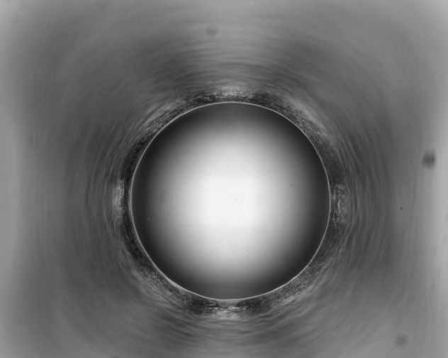 X0000099520550200805221446