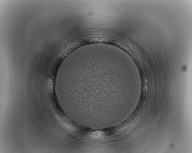 X0000099520551200805221446