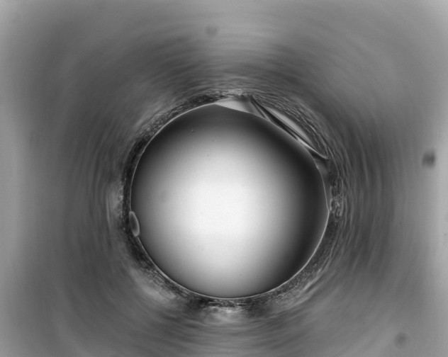 X0000099520552200805221446