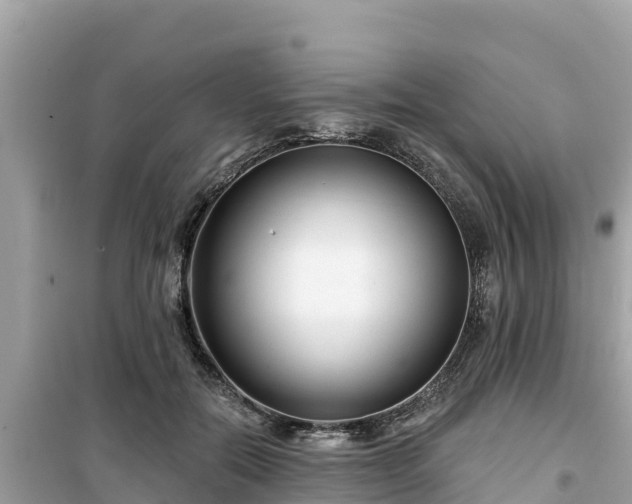 X0000099520554200805221446