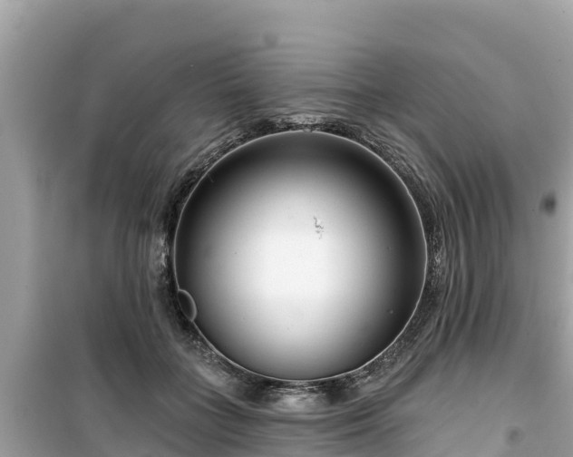 X0000099520555200805221446