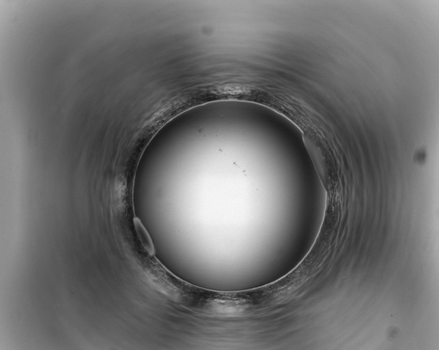 X0000099520556200805221446