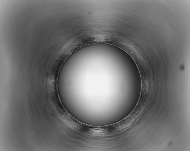 X0000099520557200805221446