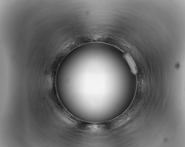 X0000099520558200805221446